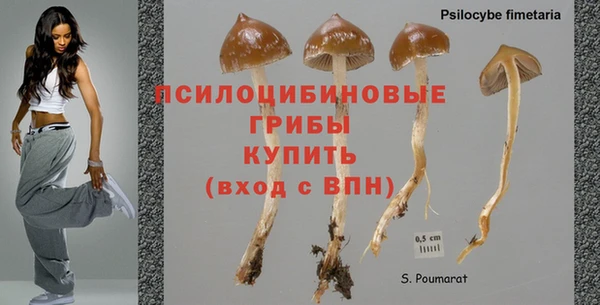меф Куйбышев