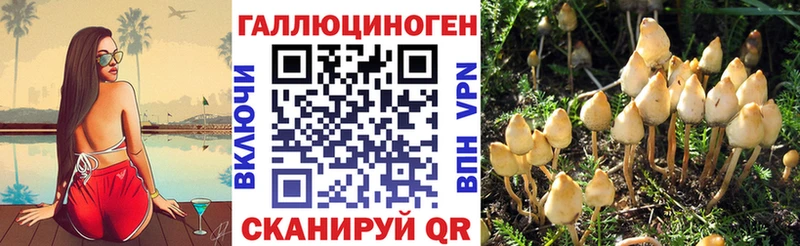 Галлюциногенные грибы мухоморы  как найти   МЕГА ONION  Чегем 