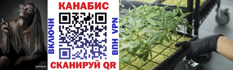 Шишки марихуана тримм  хочу   Чегем 